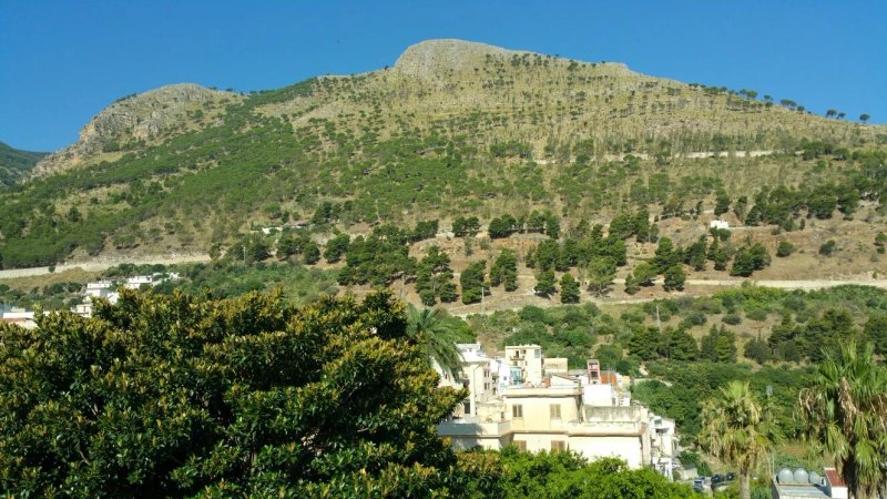 Domus Mariae