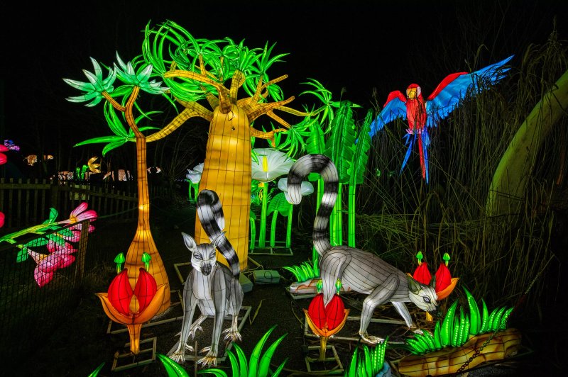 Land of Lights Milton Keynes