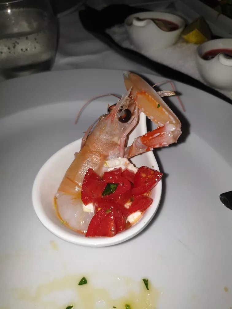 Rudygia