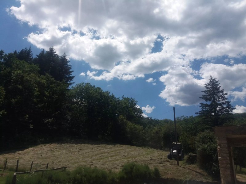 Agriturismo Ca del Lupo