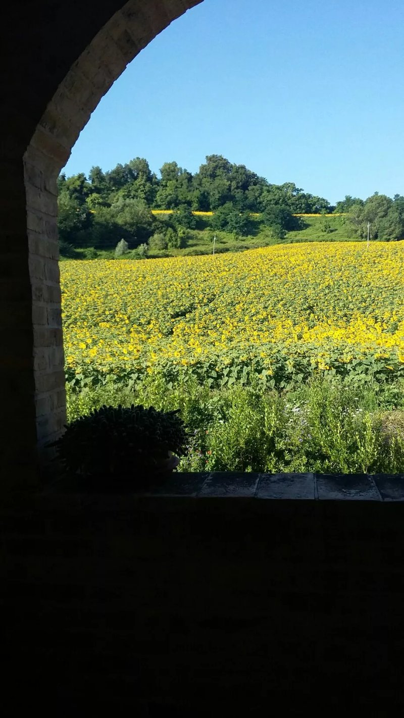 Agriturismo Lo Scoiattolo