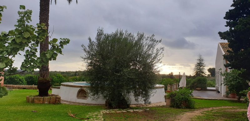 La Taverna
