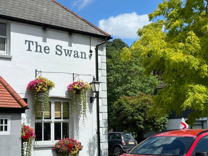 Swan