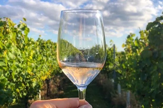 Wine Tours of Kent Ltd