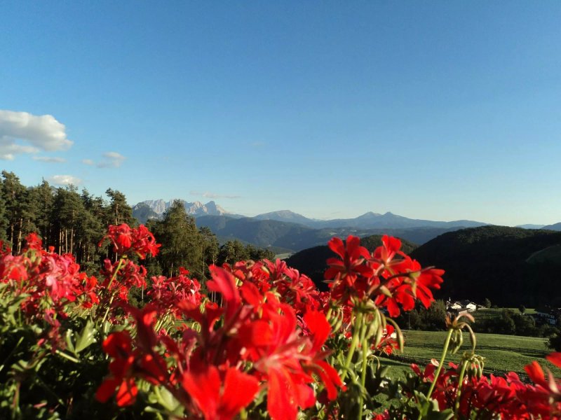 Weberhof - Urlaub am Bauernhof