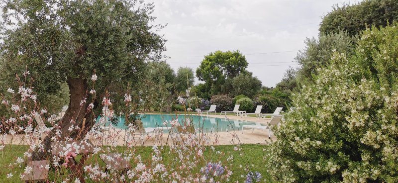 Isola Verde Agriturismo