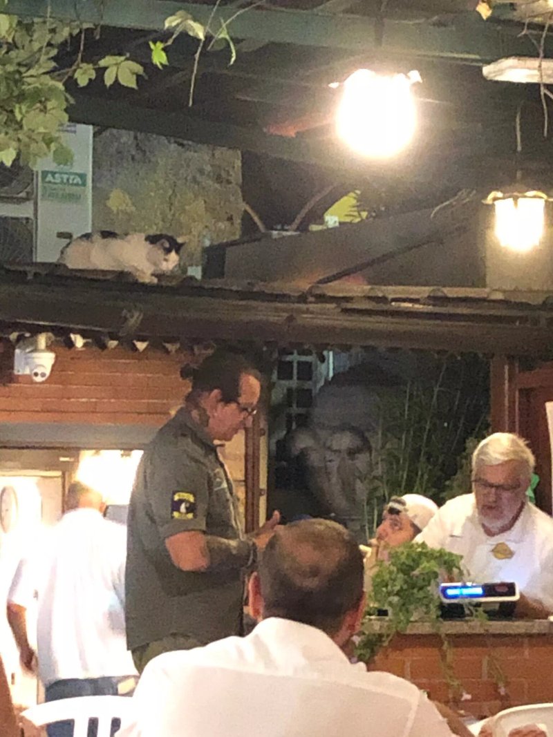 Pizzeria Er Panonto