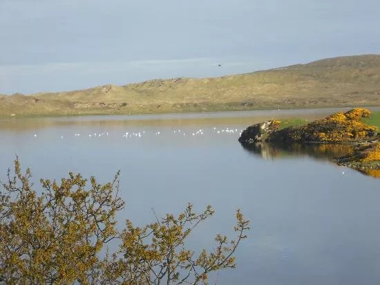 Swan Nest B&B