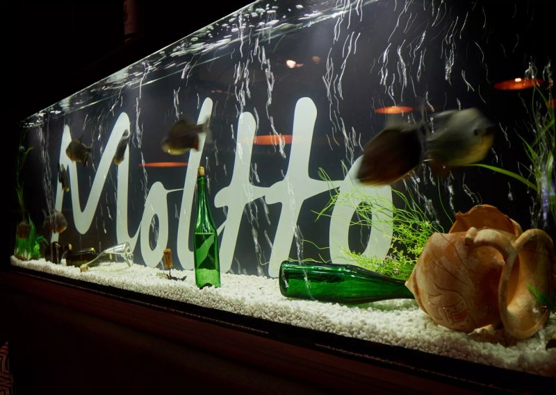 Moltto Wine & Grill