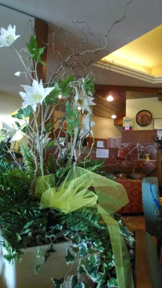 Ristorante Pizzeria Locanda Doremi