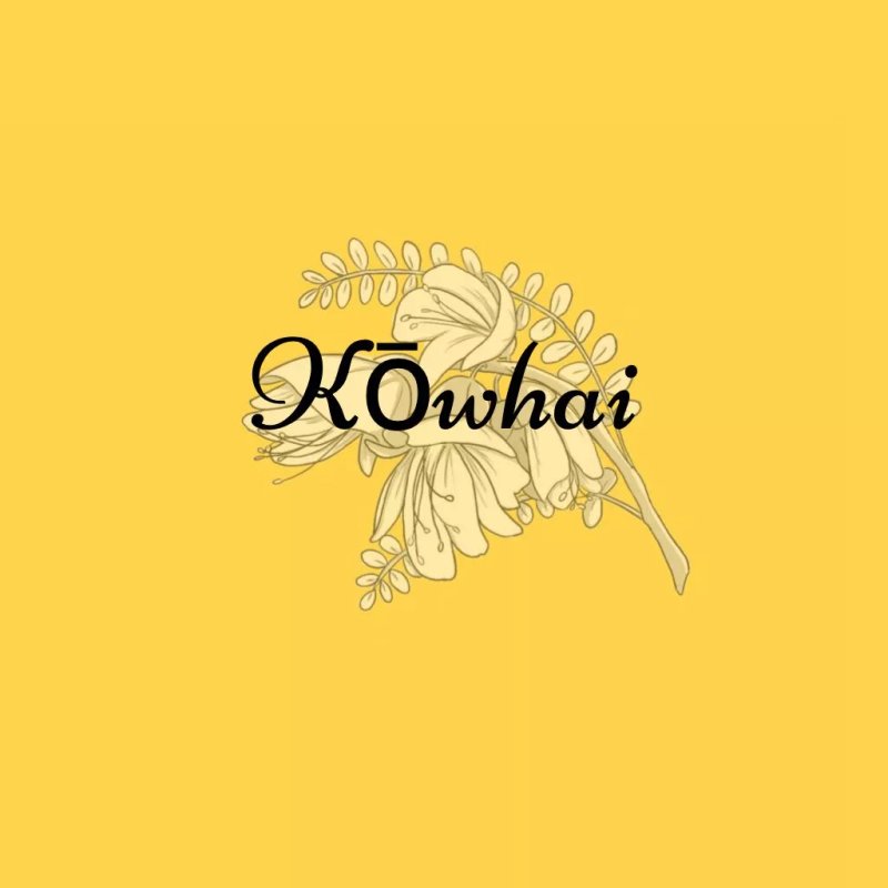 Kowhai Cakes And Chocolates