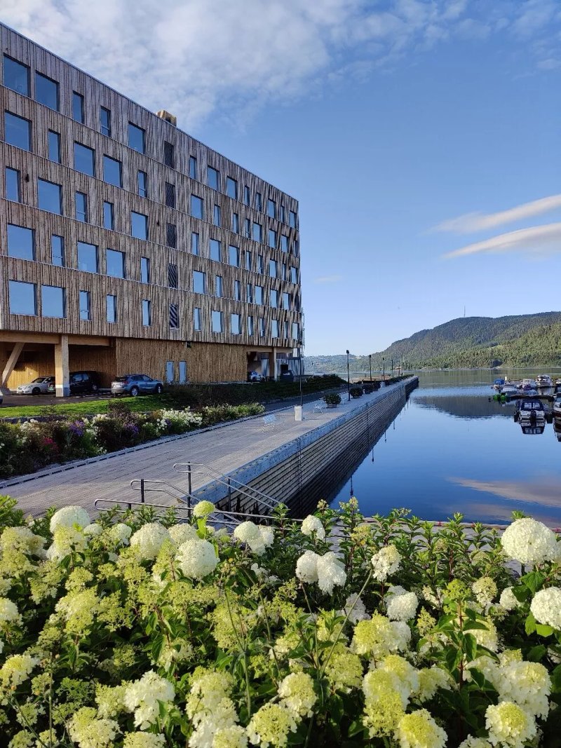 Wood Hotel by Frich's