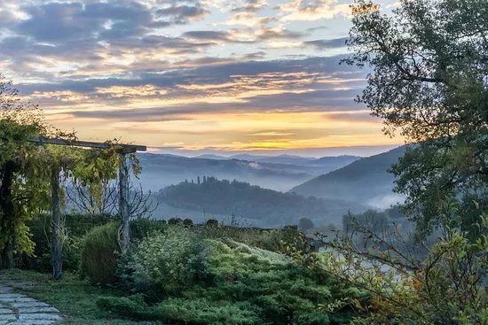 Masseto in Chianti - Food Experiences