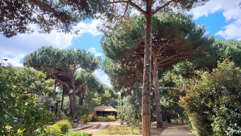 Sublime Comporta - Country Retreat & Spa