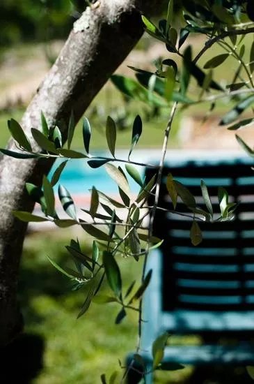Locanda La Capannuccia