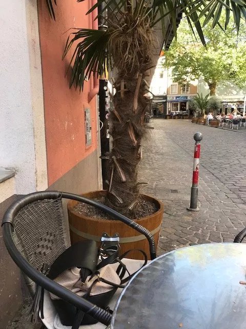Cafe Journal