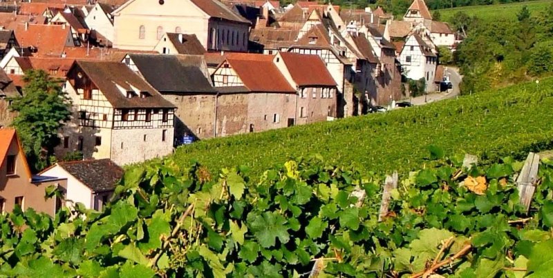 My-Riquewihr Bed & Apartments