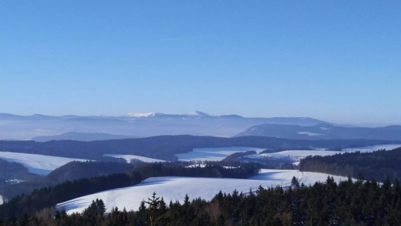 Bischofstein