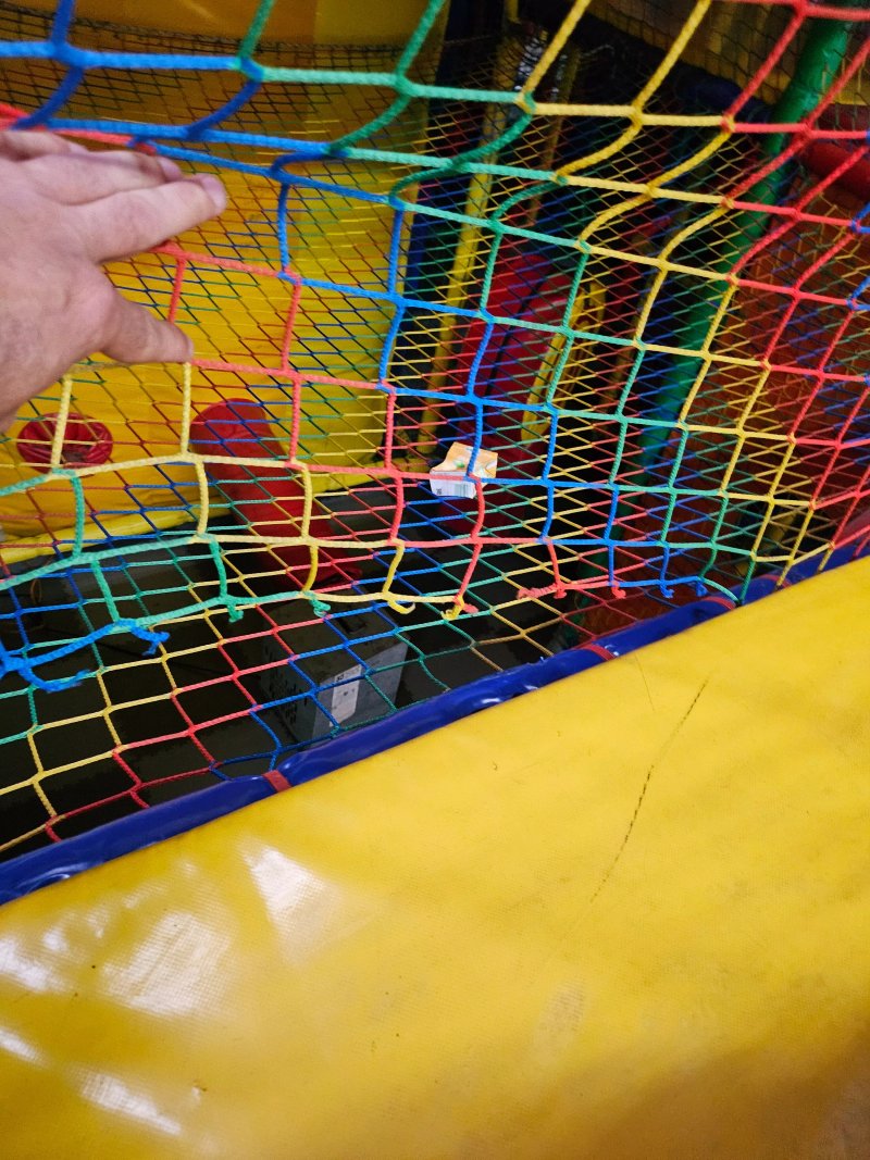 Pippolino