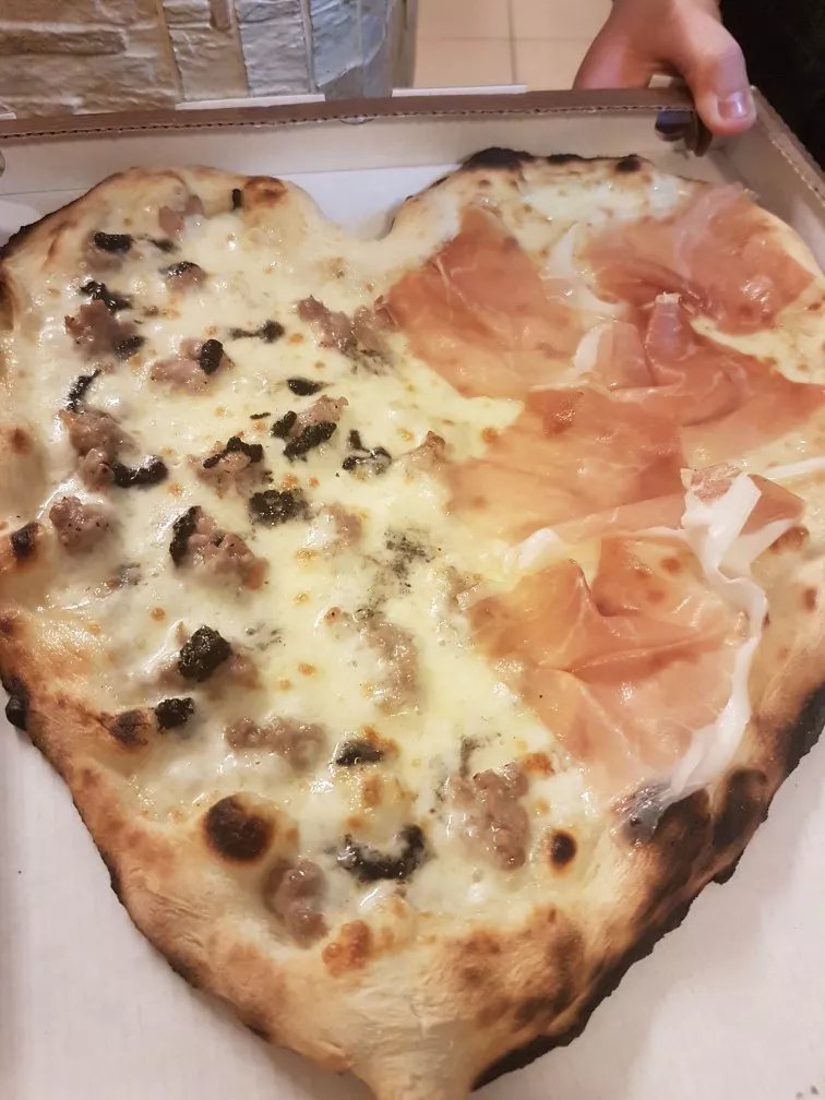 L'antico ulivo