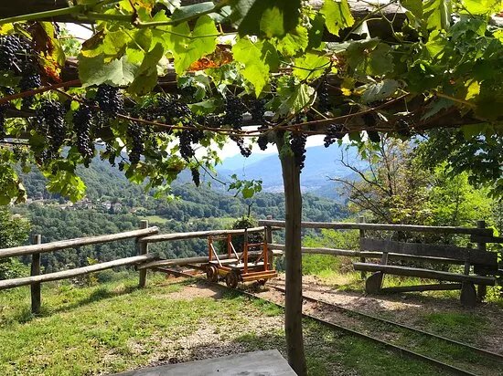Miniera d'Oro