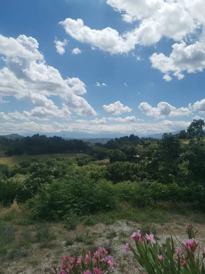 Locanda Zona Franca