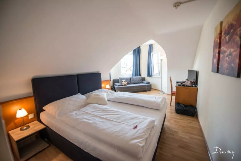 Hotel Falken