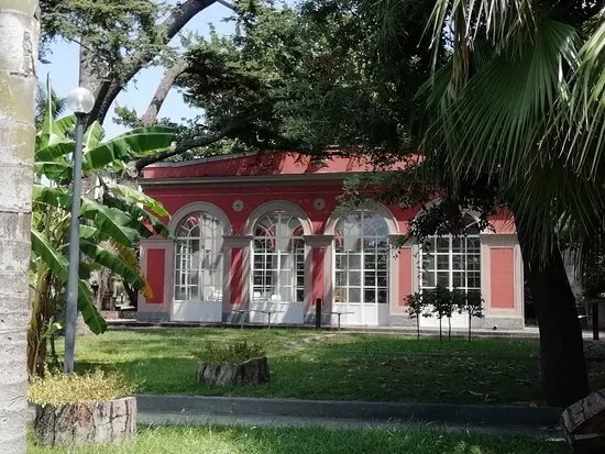 Museo Archeologico George Vallet