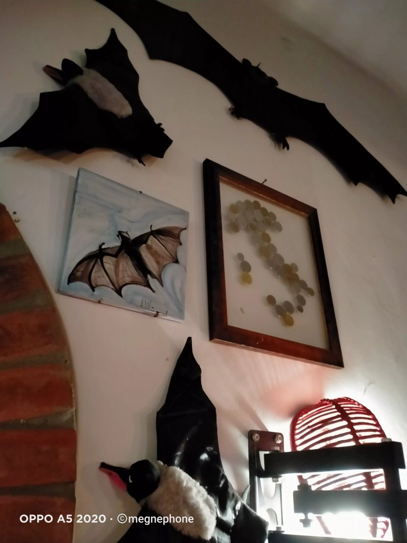 Trattoria Il Pipistrello