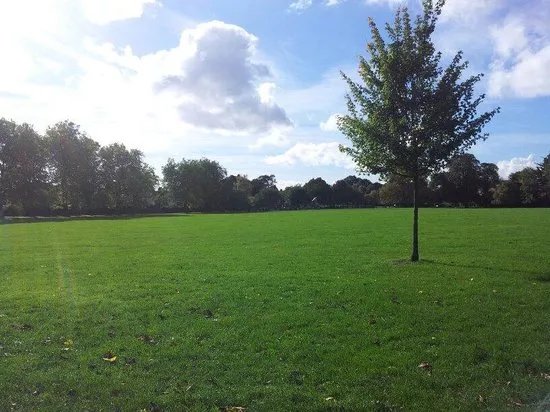 Lammas Park