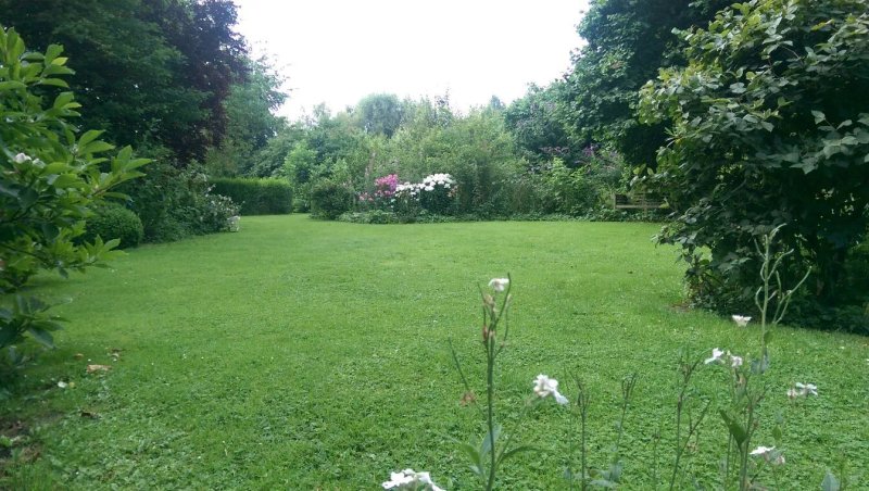 B&B Hedera