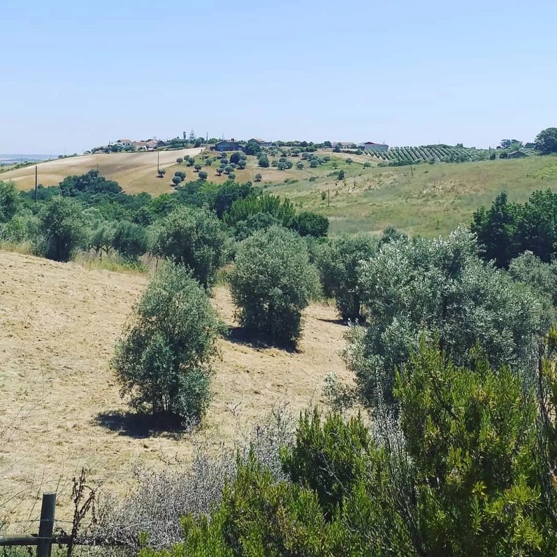 Monte das Almas Gemeas