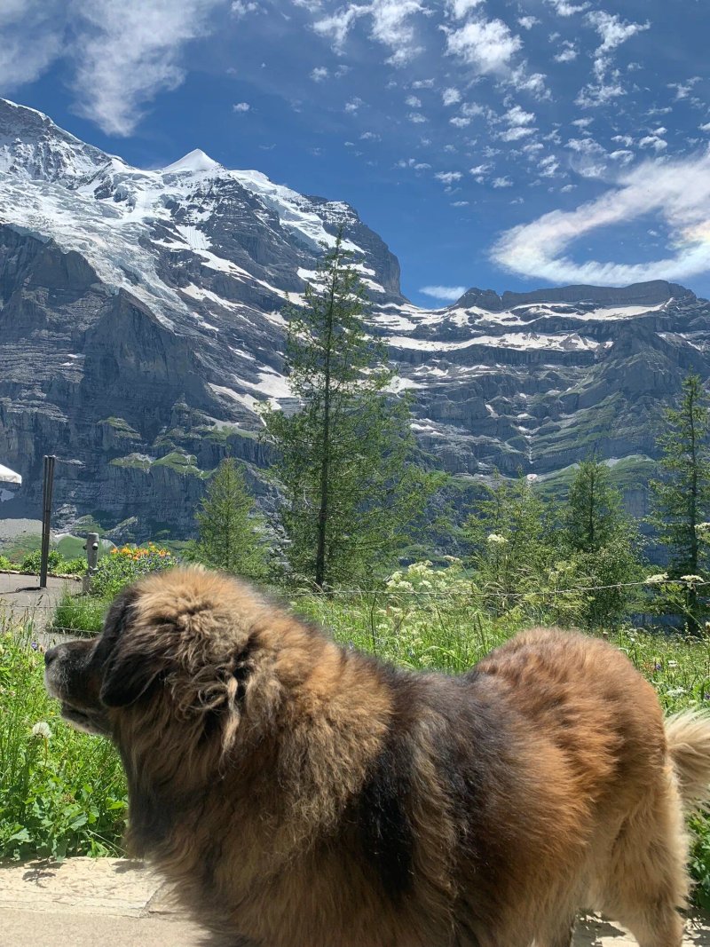 Hotel Jungfrau Wengernalp