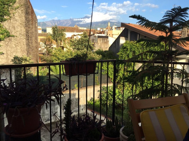 Tortugas B&B