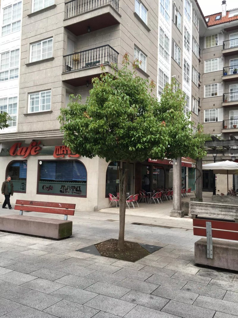 Cafeteria Maty