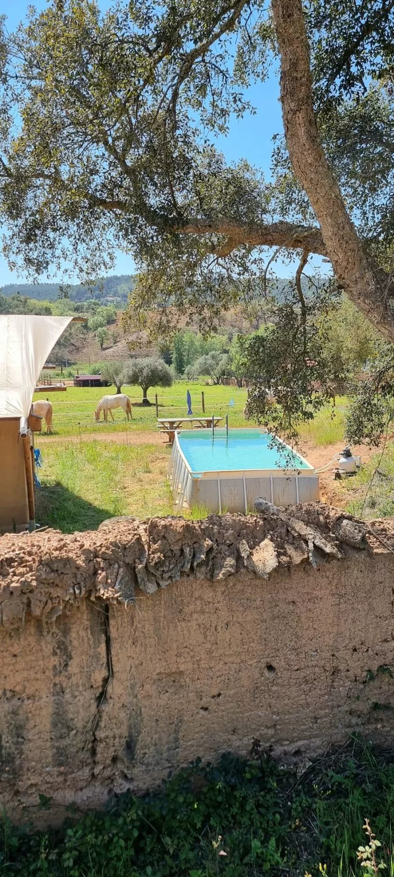 Casa Da Vinha Glamping & Casas