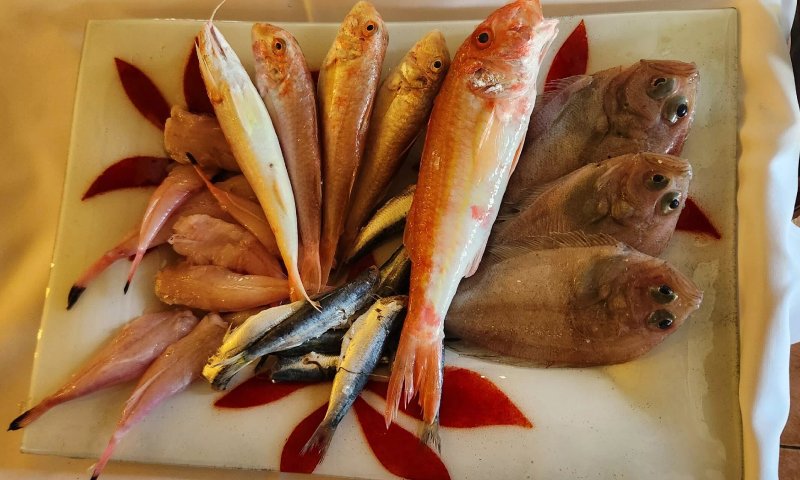 Fragkias