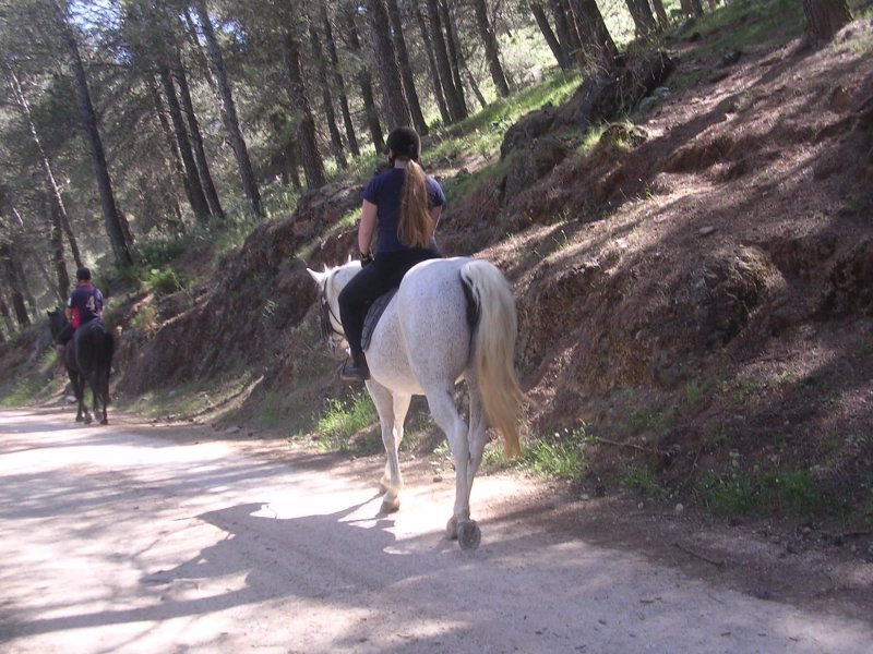El Rancho