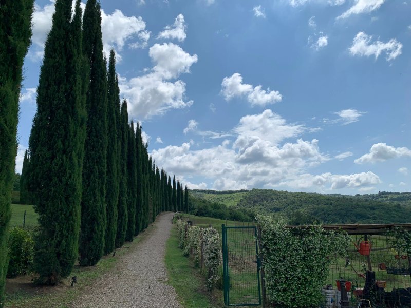 Tenuta Sant'Ilario