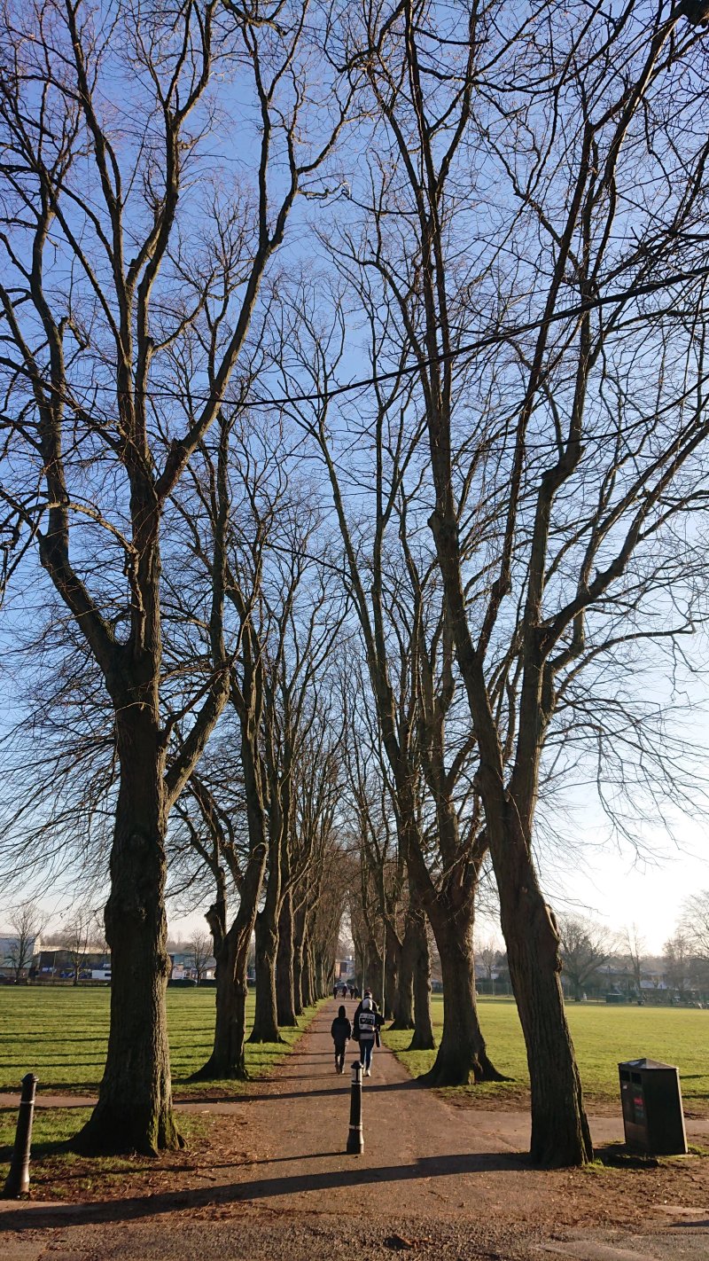 The Leys Recreation Ground