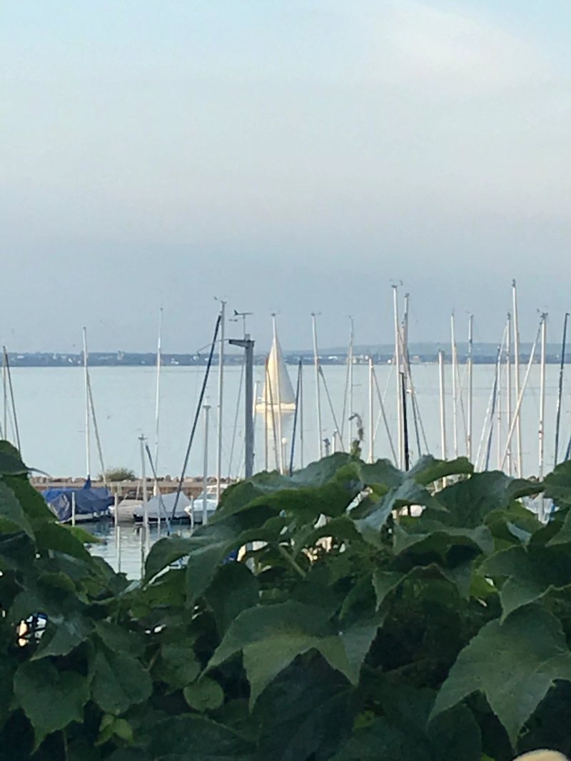 Schlosshotel Romanshorn
