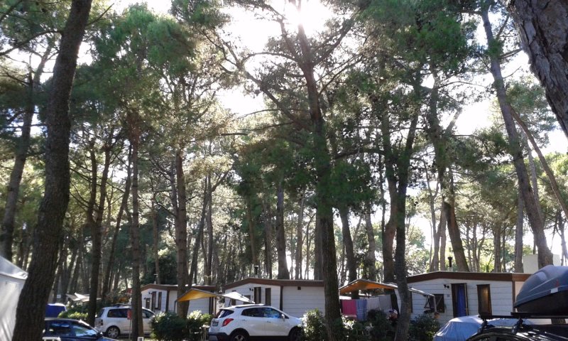 Camping Village Dei Fiori