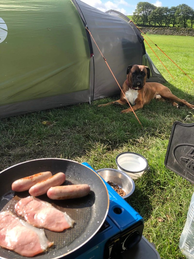 Rowter Farm Campsite