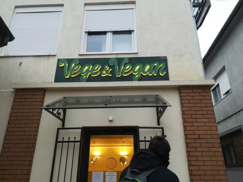 Vege & Vegan organic food