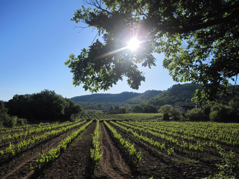 Une Sieste en Luberon