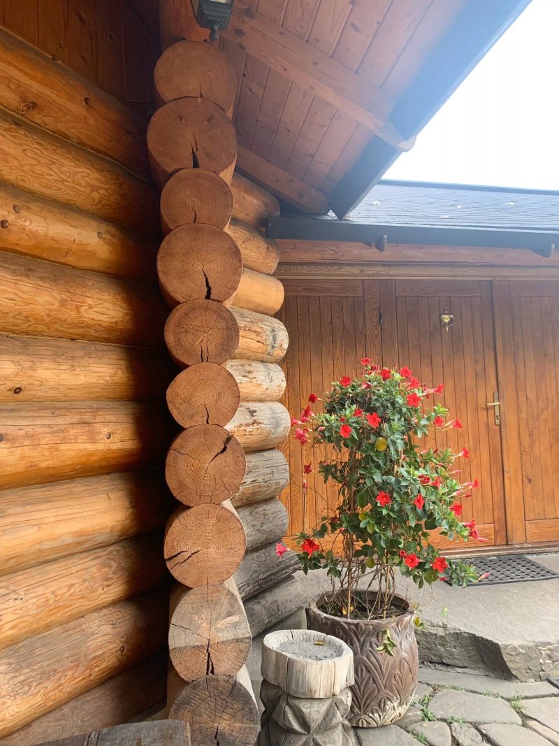 Acasa in Bucovina