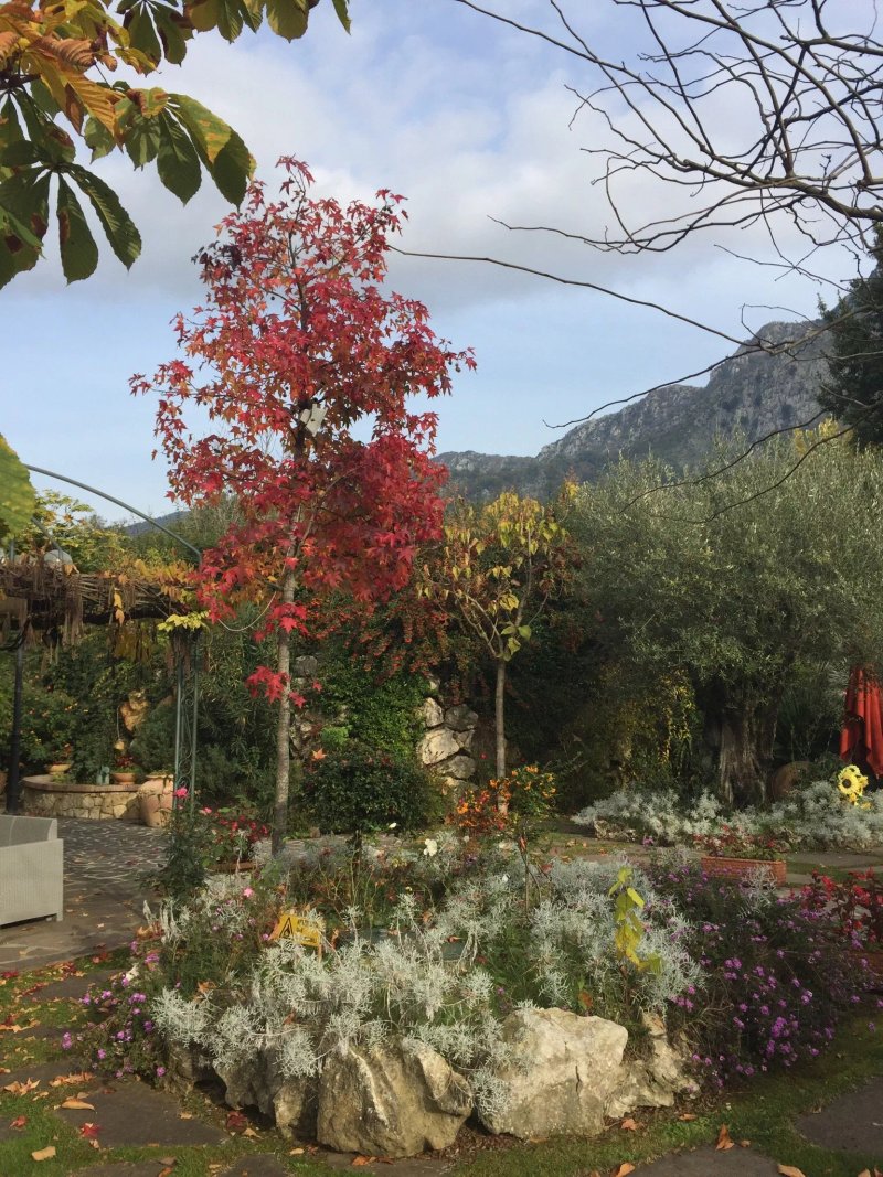 Poggio DI Casalucense - Sant Elia Fiumer