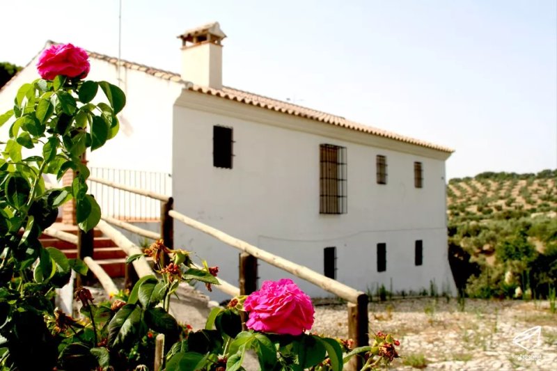 Cortijo Los Petronilos