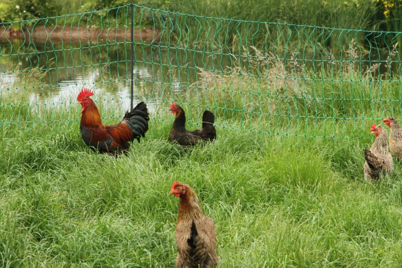 Egerton Manor Farm B&B