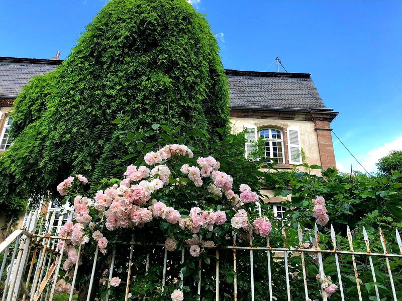 Schloss Hilbringen